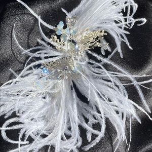 Head Feather accessorie